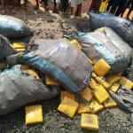Tema Police Reject GH¢150,000 Bribe, Seize Suspected Narcotics in Major Anti-Drug Operation
